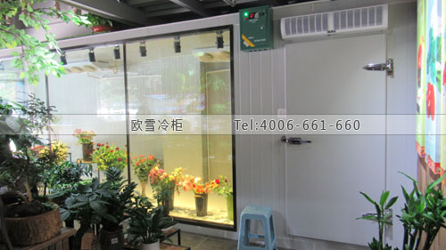 透明玻璃鮮花保鮮冷庫(kù).jpg