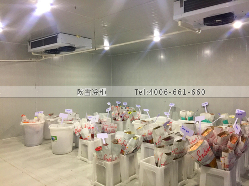 鮮花基地保鮮庫.jpg