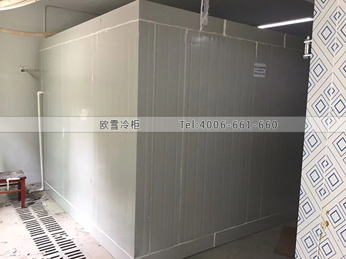 醫(yī)用冷庫.jpg