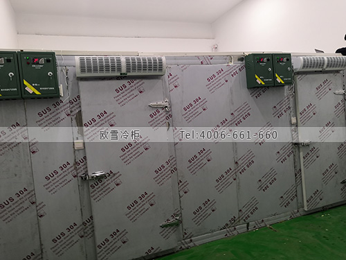 醫(yī)用疫苗冷庫.jpg 醫(yī)用疫苗冷庫.jpg