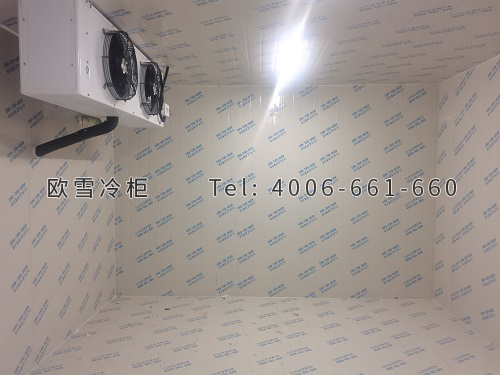 凍庫(kù)建造廠家.jpg