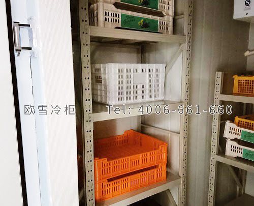 小型水果保鮮冷庫(kù).jpg