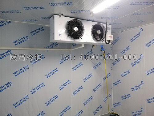 果蔬農(nóng)產(chǎn)品冷藏冷庫安裝.jpg