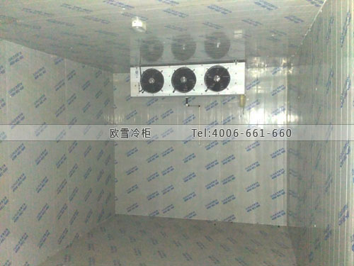 冷庫(kù)安裝建設(shè)成本多少錢(qián)一平方.jpg
