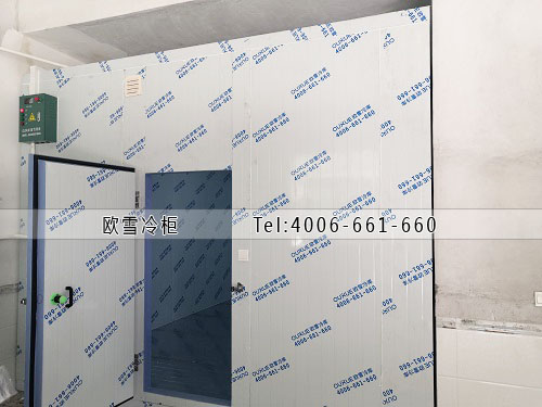 冷藏冷庫(kù)安裝.jpg