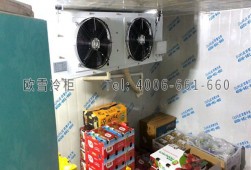 保鮮冷庫安裝-水果店水果保鮮冷庫工程設(shè)計(jì)