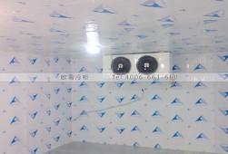冷庫安裝-湖南果蔬農(nóng)產(chǎn)品保鮮冷藏冷庫工程設(shè)計(jì)與安裝