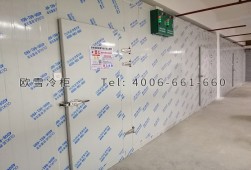 冷庫安裝-湖南雙溫藥品冷藏冷庫工程設(shè)計(jì)與安裝