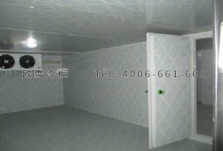 冷庫安裝-廈門超市保鮮冷庫設(shè)計(jì)與安裝