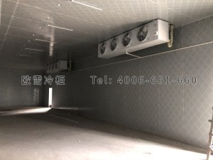 安?？h城關(guān)生豬定點屠宰廠肉類冷藏冷凍冷庫安裝