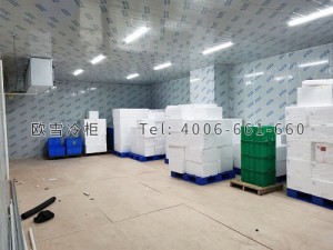 東莞市德聚膠接技術(shù)有限公司冷凍冷庫(kù)安裝