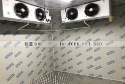 冷庫如何預(yù)防異味產(chǎn)生？異味產(chǎn)生原因？