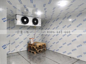 深圳龍崗區(qū)食品冷凍冷庫(kù)安裝案例
