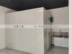 湖南長沙15立方的小型水果保鮮冷庫安裝案例